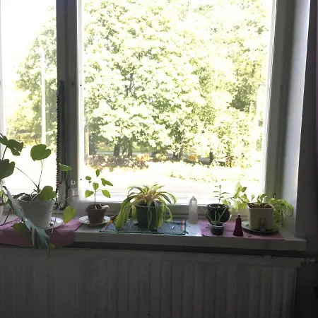 アパート Urban Oasis In Center